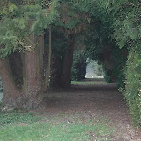 G2236 度假居 Touffreville-la-Corbeline
