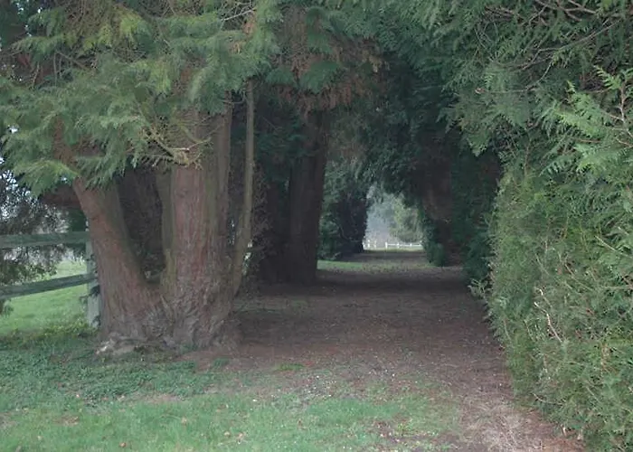 Gite Gites De France - Le Pavillon Holiday home Touffreville-la-Corbeline